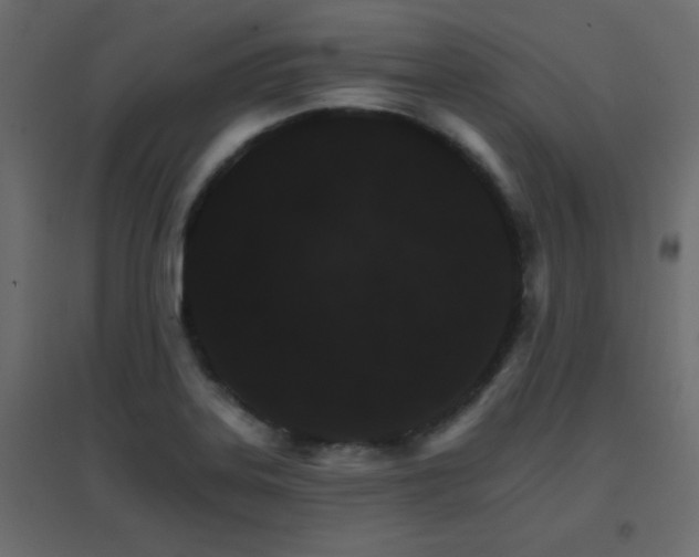 X0000096661323200802051209