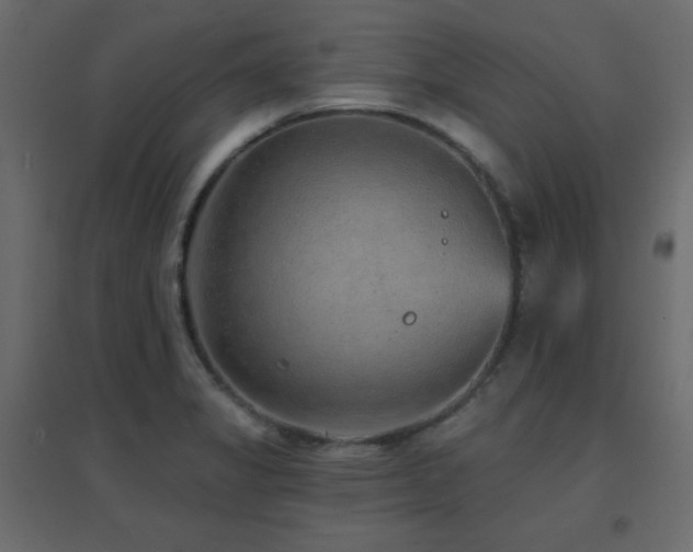 X0000096661325200802051209