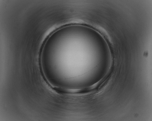 X0000096661326200802051209