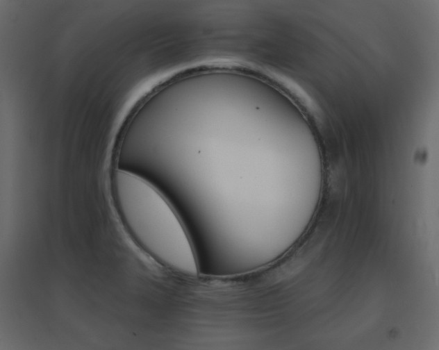 X0000096661327200802051209