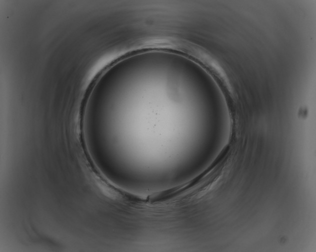 X0000096661328200802051209
