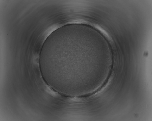 X0000096661329200802051209