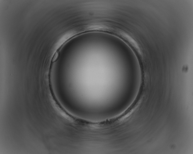 X0000096661330200802051209