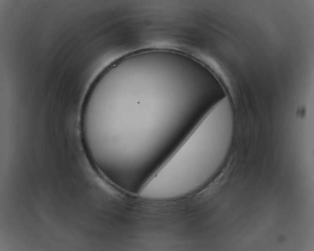 X0000096661331200802051209