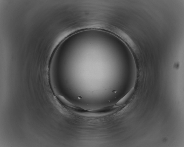 X0000096661332200802051209