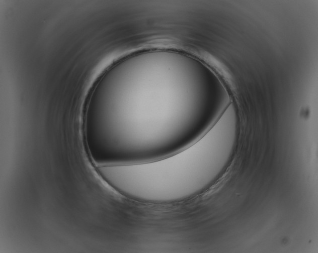 X0000096661334200802051209