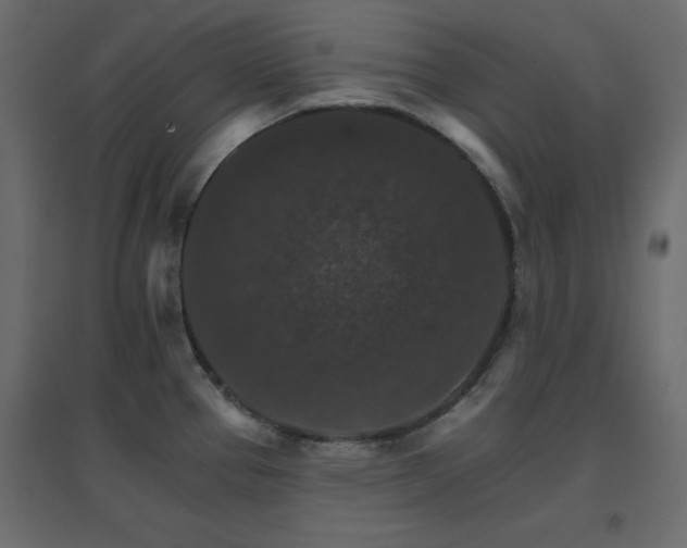 X0000096661337200802051209