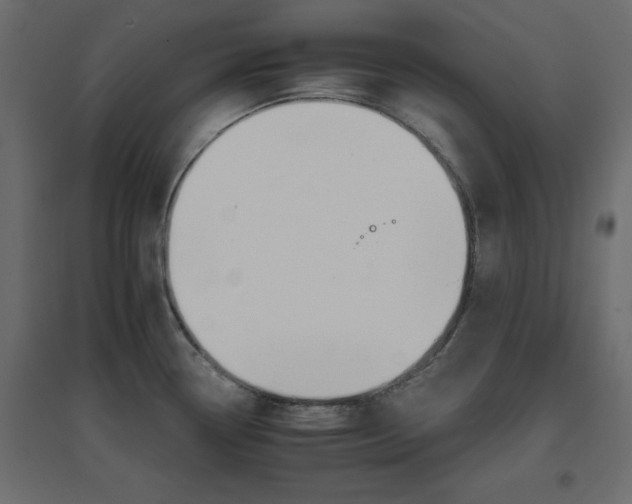 X0000096661338200802051209