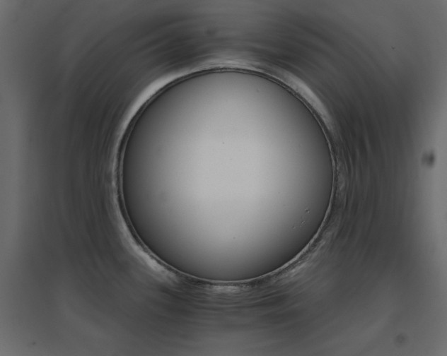 X0000096661339200802051209