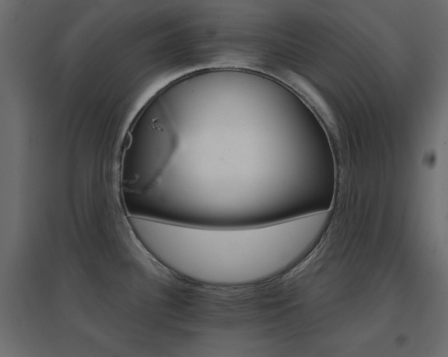 X0000096661340200802051209