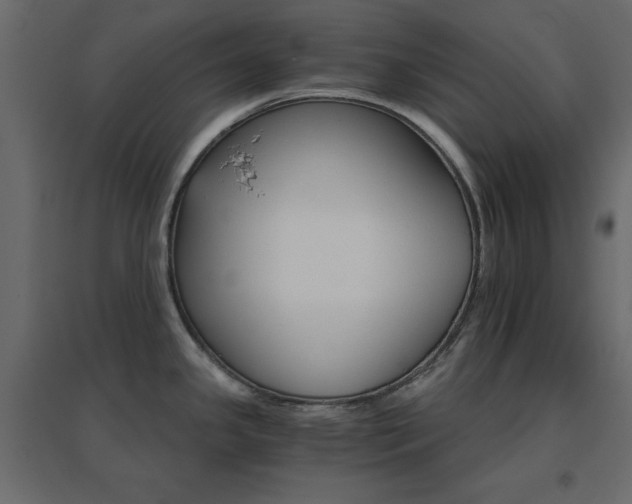 X0000096661341200802051209