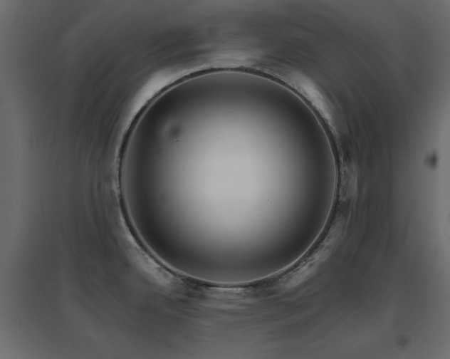 X0000096661342200802051209