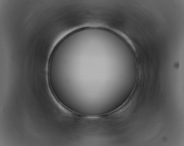 X0000096661343200802051209