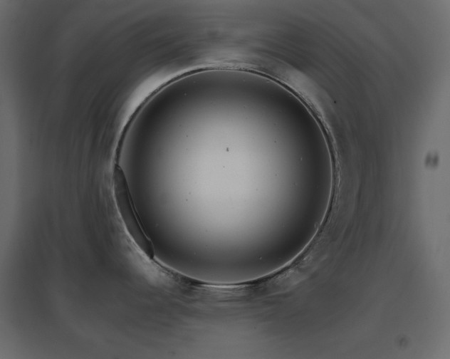 X0000096661344200802051209