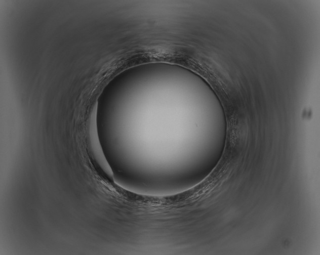 X0000096661345200802051209