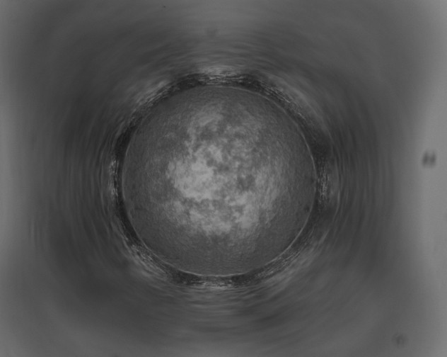 X0000096661346200802051209