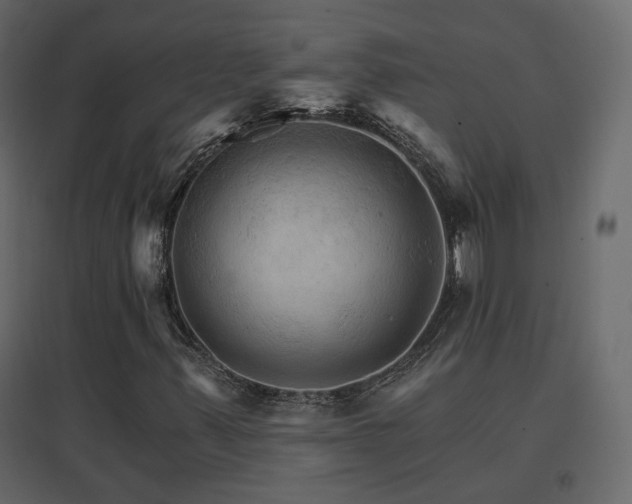 X0000096661347200802051209
