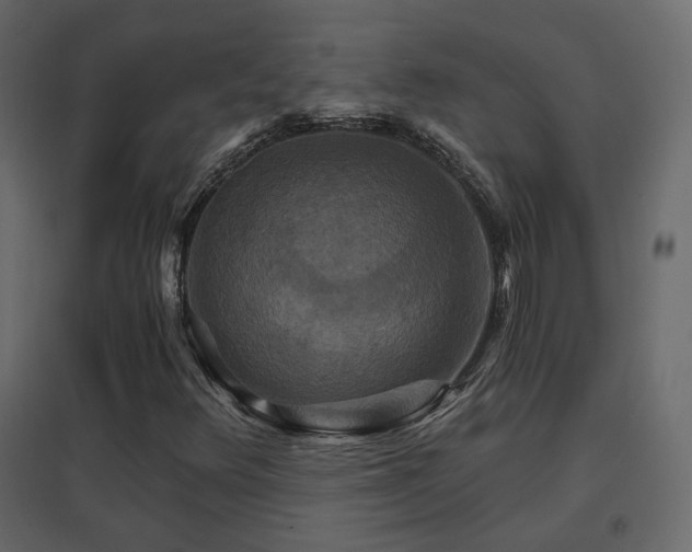 X0000096661348200802051209