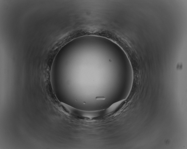X0000096661349200802051208