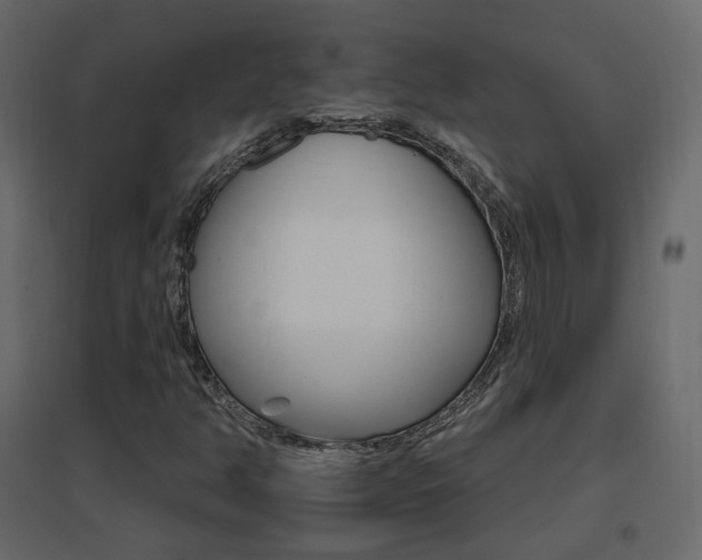 X0000096661350200802051208