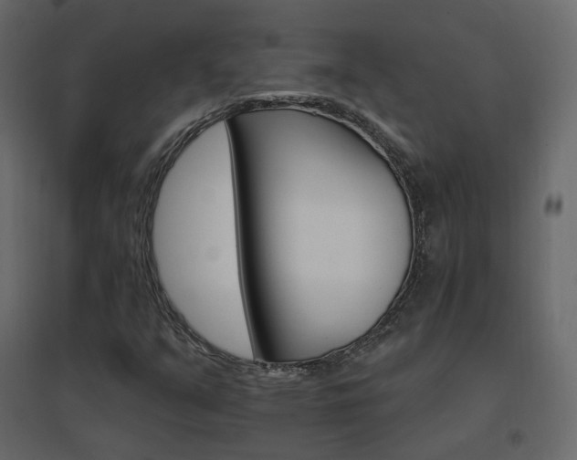 X0000096661351200802051208