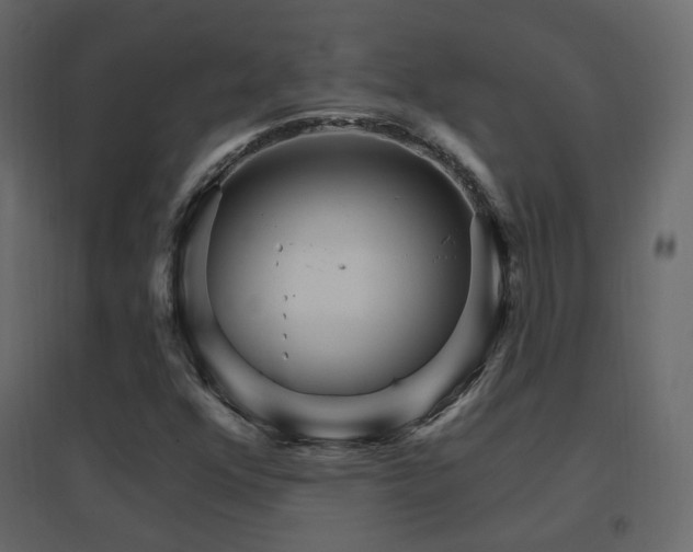 X0000096661352200802051208