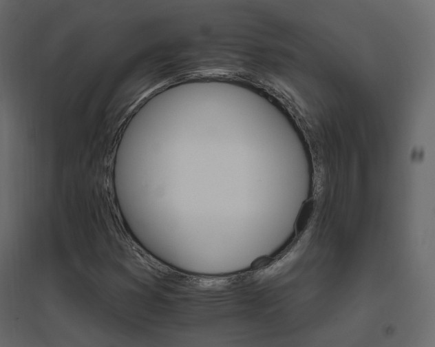 X0000096661353200802051208