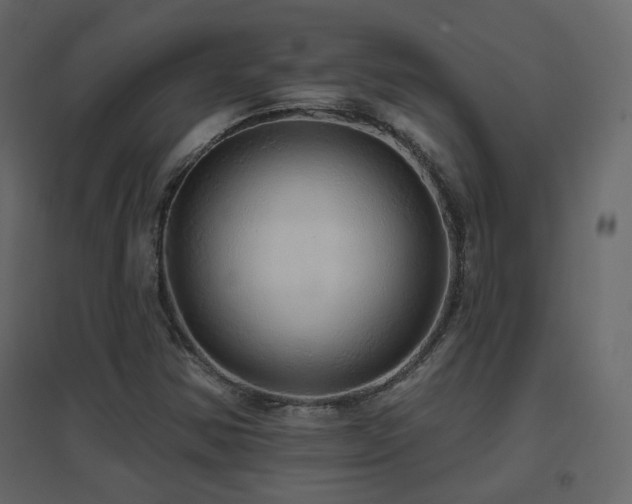 X0000096661354200802051208