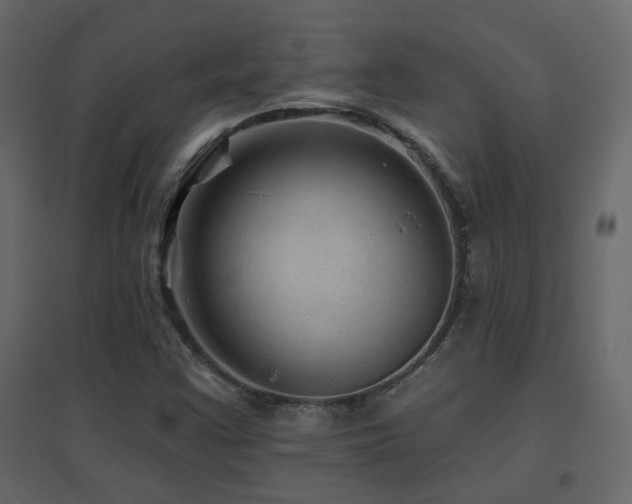 X0000096661355200802051208