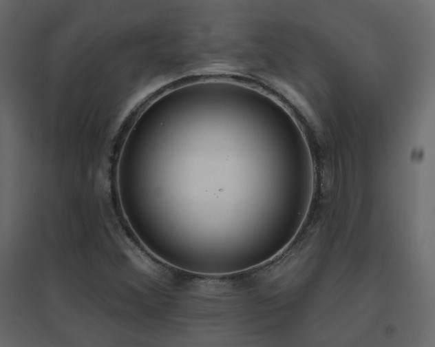 X0000096661356200802051208