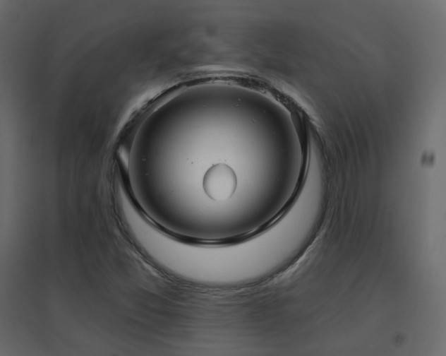 X0000096661357200802051208