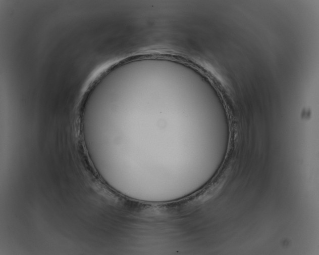 X0000096661358200802051208