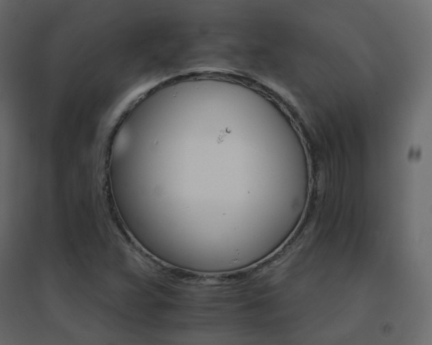 X0000096661359200802051208
