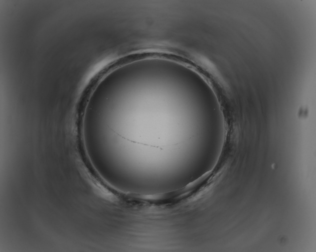 X0000096661360200802051208