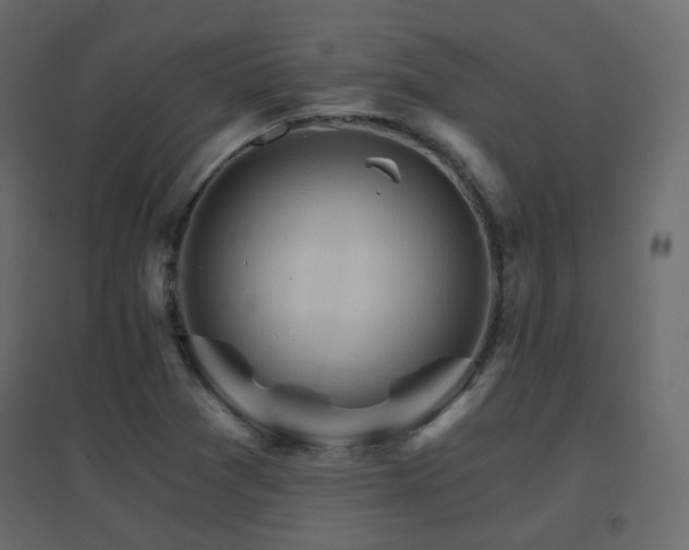 X0000096661361200802051208