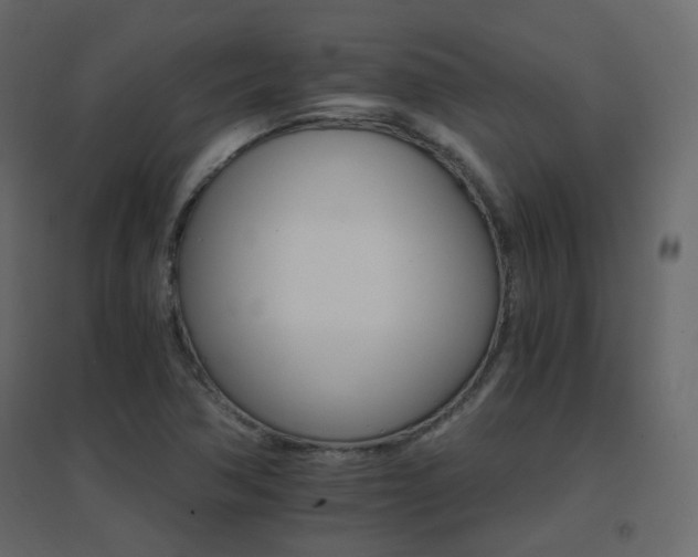 X0000096661362200802051208