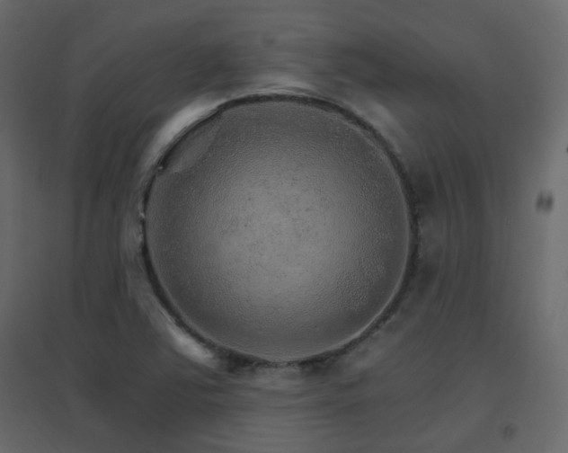 X0000096661363200802051208