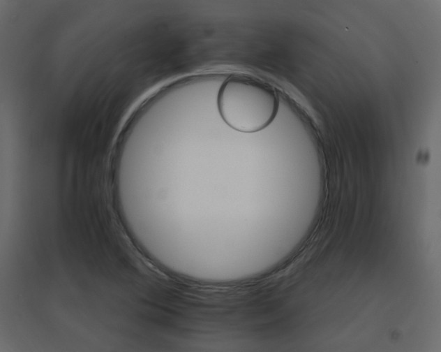 X0000096661364200802051208
