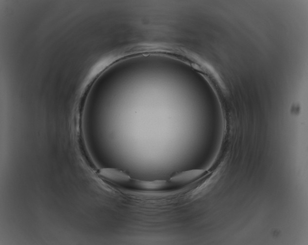 X0000096661365200802051208