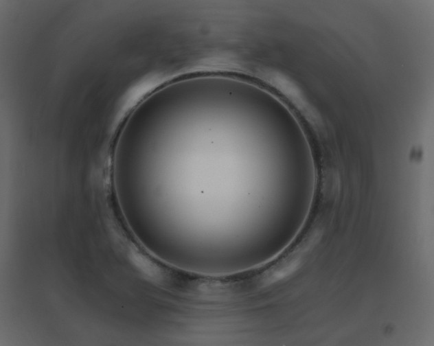 X0000096661366200802051208