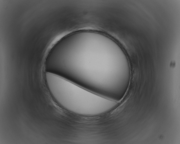 X0000096661367200802051208