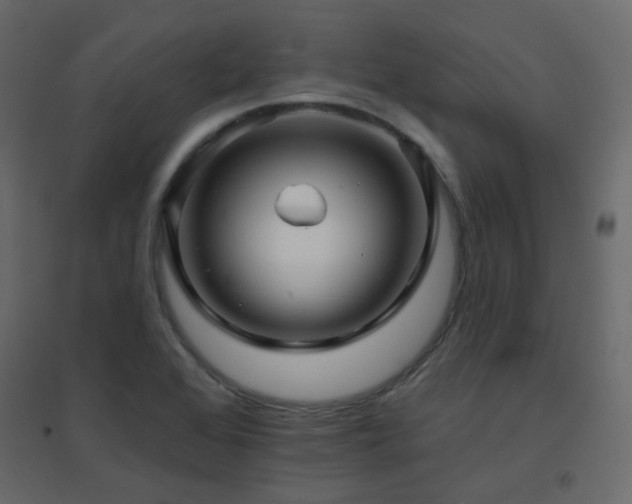 X0000096661368200802051208