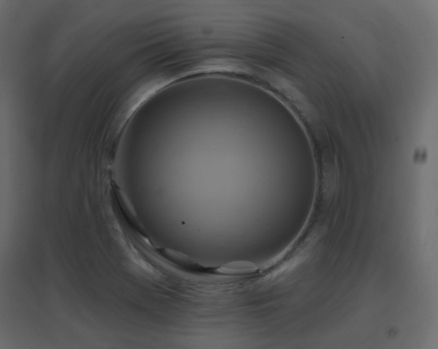 X0000096661369200802051208