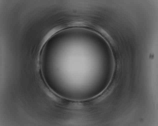 X0000096661370200802051208