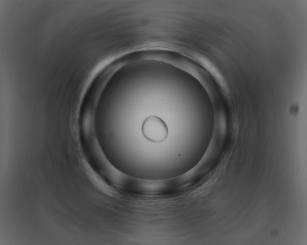 X0000096661372200802051208