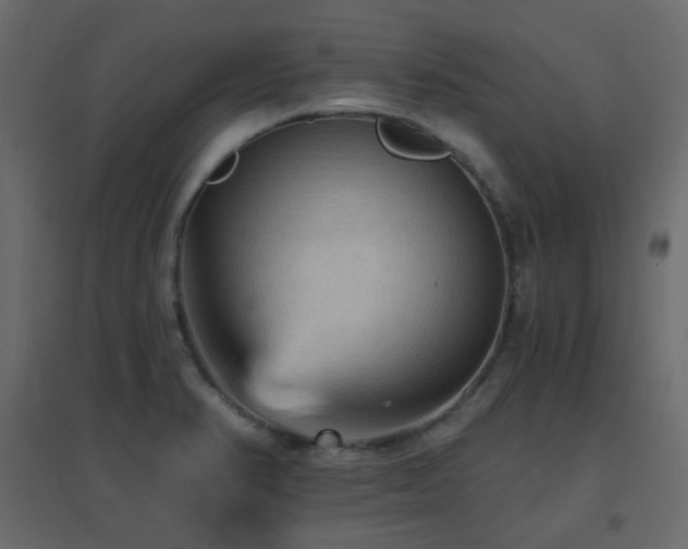 X0000096661374200802051208