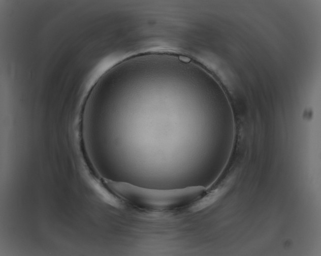 X0000096661375200802051208