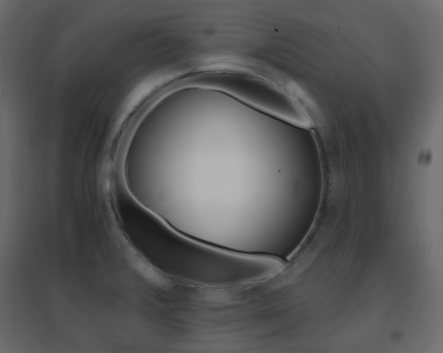 X0000096661376200802051208
