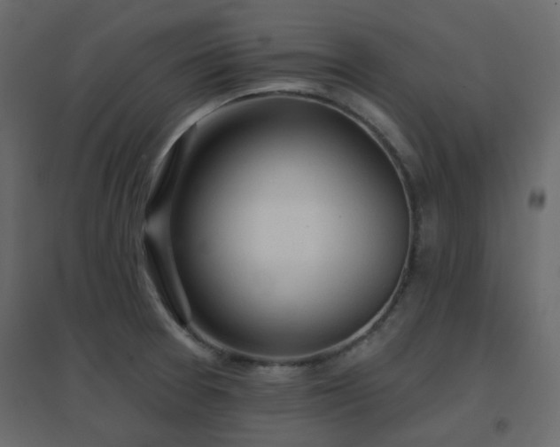 X0000096661377200802051208