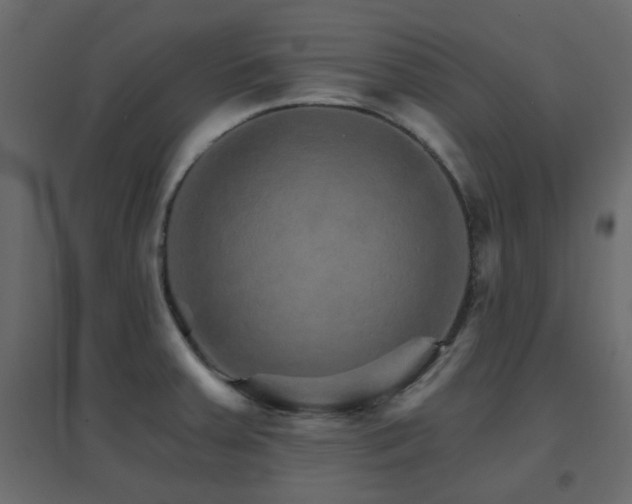 X0000096661379200802051208